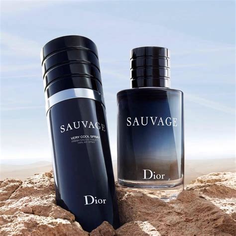 dior spray powder|sauvage very cool spray dior.